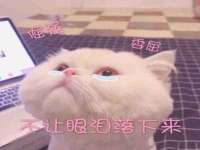 西峡县润霖食品有限公司