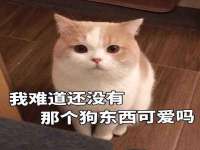 西峡县润霖食品有限公司