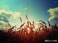 西峡县润霖食品有限公司