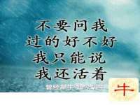 西峡县润霖食品有限公司