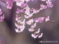 西峡县润霖食品有限公司