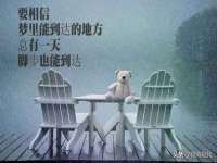 西峡县润霖食品有限公司