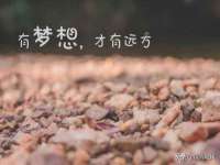 西峡县润霖食品有限公司