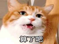 西峡县润霖食品有限公司