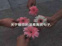 西峡县润霖食品有限公司
