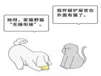 西峡县润霖食品有限公司
