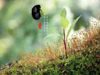 西峡县润霖食品有限公司