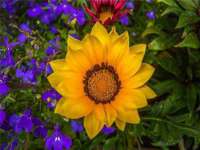西峡县润霖食品有限公司