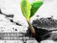 西峡县润霖食品有限公司