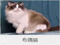 西峡县润霖食品有限公司