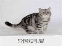 西峡县润霖食品有限公司