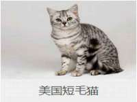西峡县润霖食品有限公司