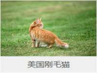 西峡县润霖食品有限公司