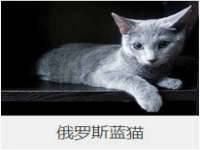 西峡县润霖食品有限公司
