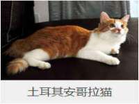西峡县润霖食品有限公司