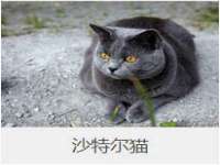 西峡县润霖食品有限公司