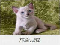 西峡县润霖食品有限公司