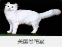西峡县润霖食品有限公司