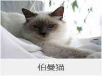 西峡县润霖食品有限公司