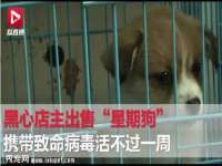 西峡县润霖食品有限公司