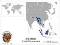 西峡县润霖食品有限公司