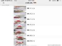 西峡县润霖食品有限公司
