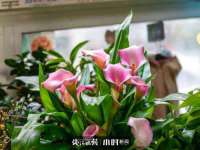 西峡县润霖食品有限公司