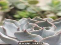 西峡县润霖食品有限公司