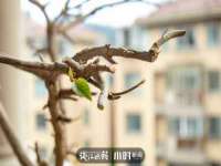 西峡县润霖食品有限公司