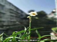 西峡县润霖食品有限公司