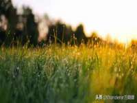 西峡县润霖食品有限公司