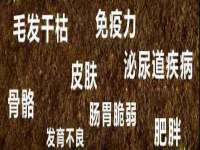 西峡县润霖食品有限公司