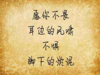 西峡县润霖食品有限公司