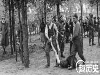 西峡县润霖食品有限公司
