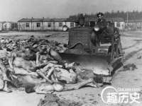 西峡县润霖食品有限公司