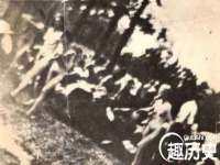 西峡县润霖食品有限公司