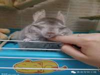 西峡县润霖食品有限公司