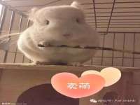 西峡县润霖食品有限公司