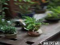 西峡县润霖食品有限公司