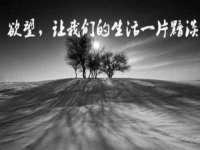 西峡县润霖食品有限公司