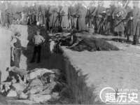 西峡县润霖食品有限公司