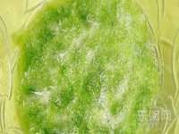 西峡县润霖食品有限公司