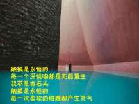 西峡县润霖食品有限公司