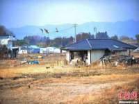 西峡县润霖食品有限公司