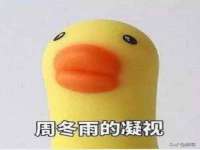 西峡县润霖食品有限公司