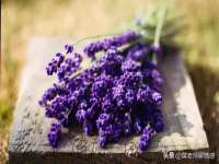 西峡县润霖食品有限公司