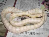 西峡县润霖食品有限公司