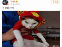 西峡县润霖食品有限公司