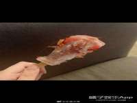 西峡县润霖食品有限公司